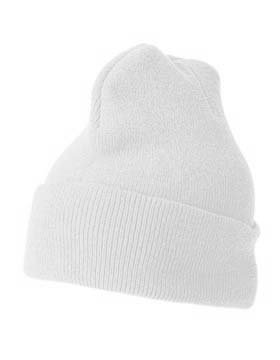 Cuffed Knit Beanie