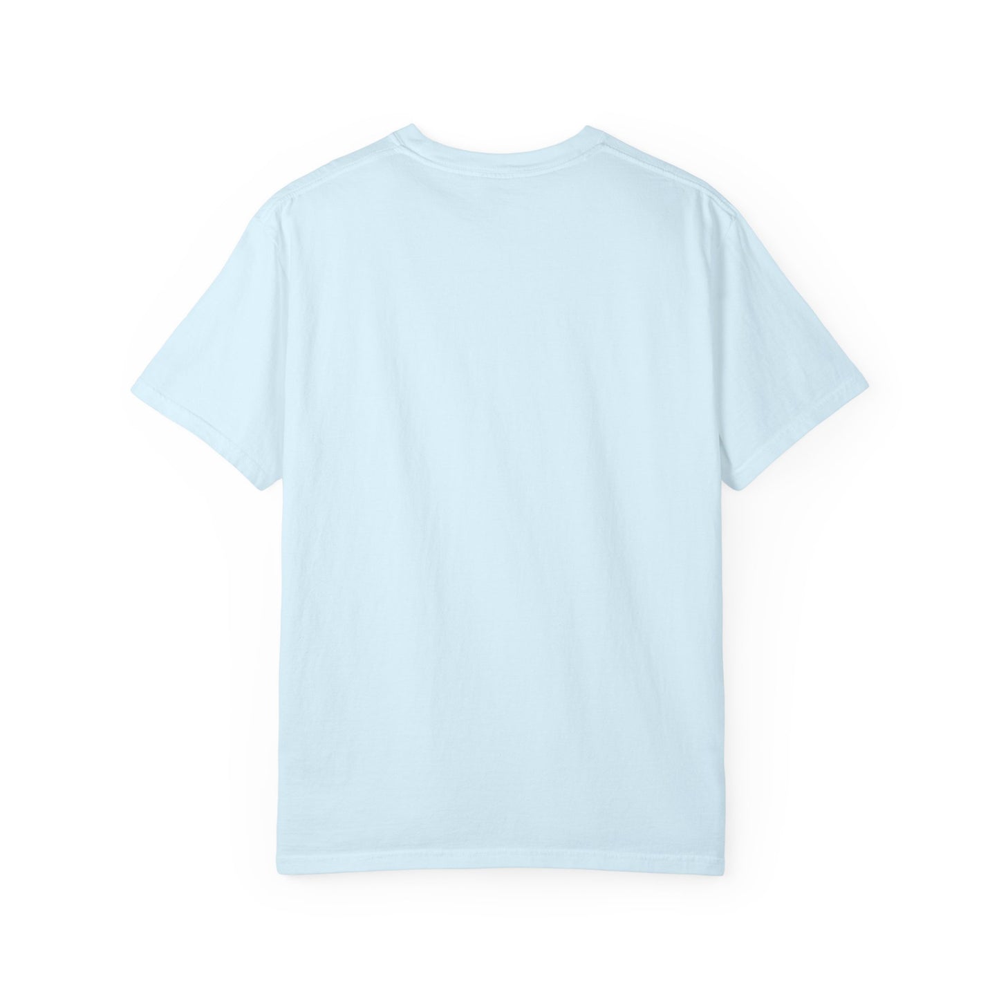 Dad Priceless Being a Soccer Fan Expensive T-Shirt