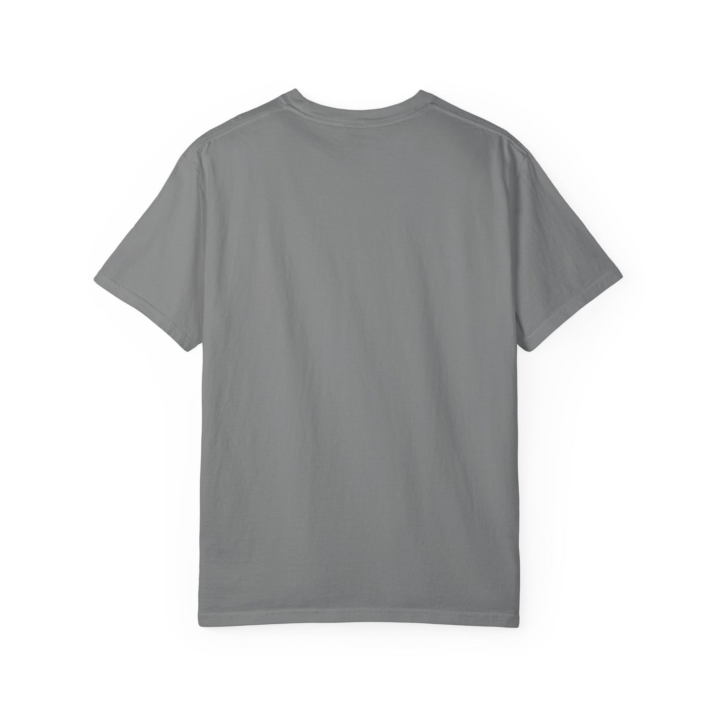 Dad Priceless Being a Soccer Fan Expensive T-Shirt