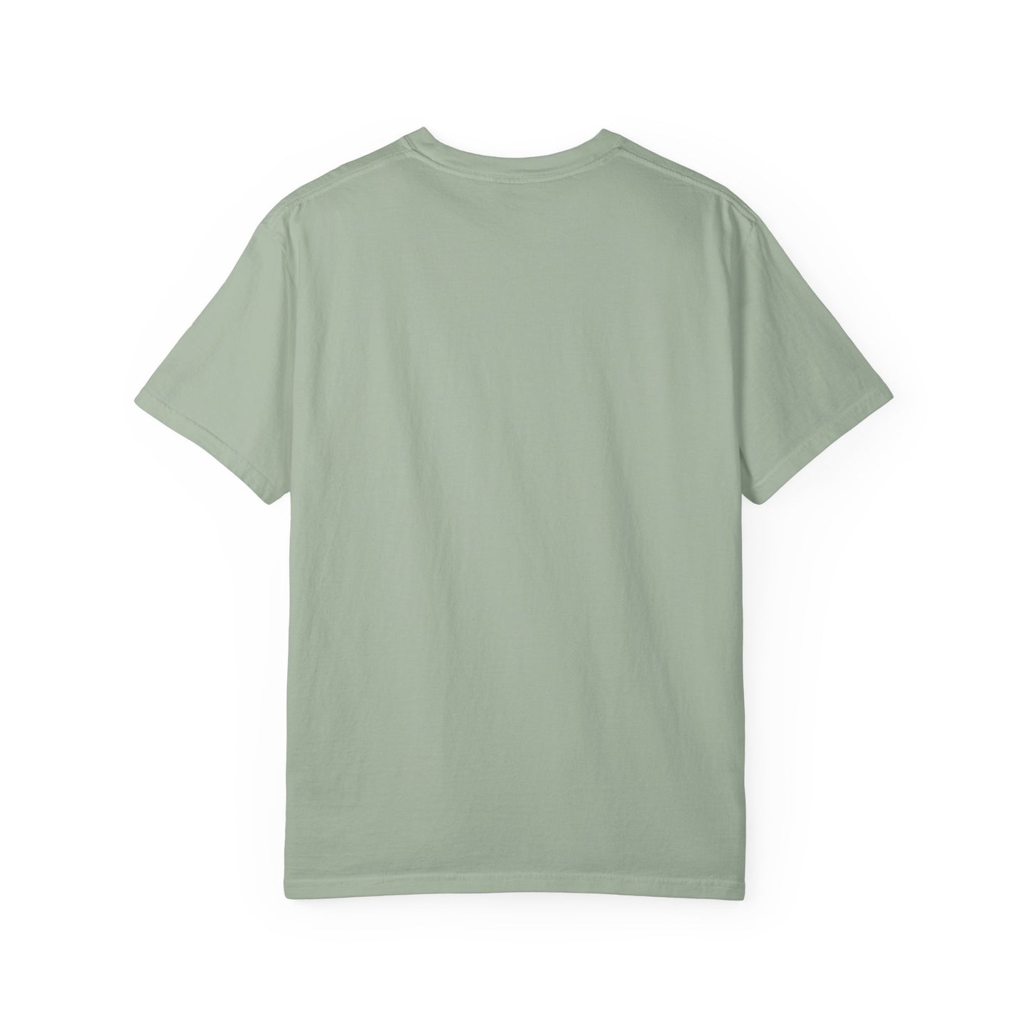Dad Priceless Being a Soccer Fan Expensive T-Shirt