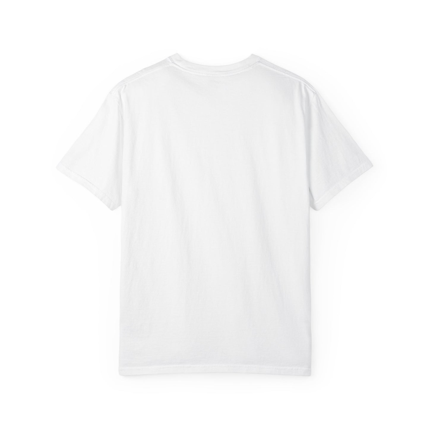 Dad Priceless Being a Soccer Fan Expensive T-Shirt