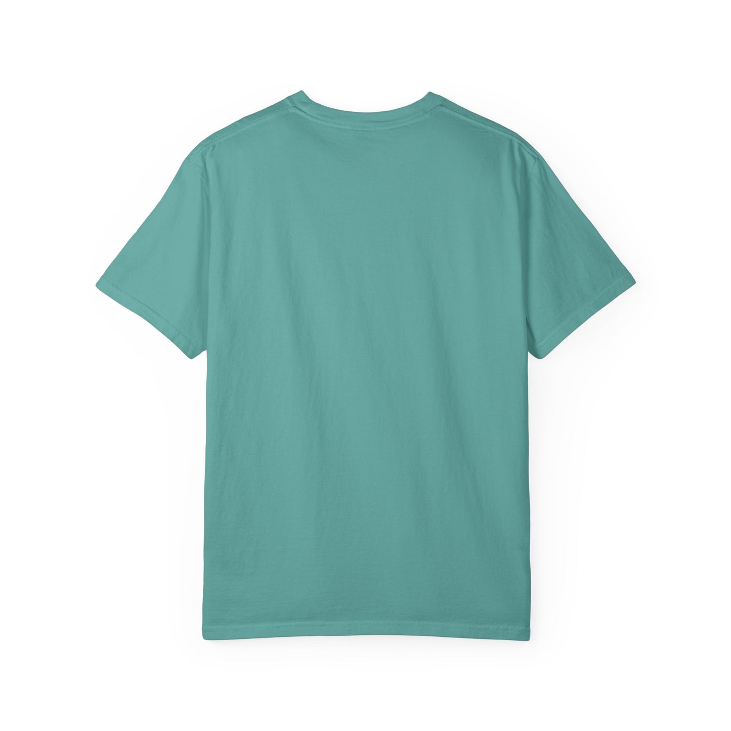 Dad Priceless Being a Soccer Fan Expensive T-Shirt